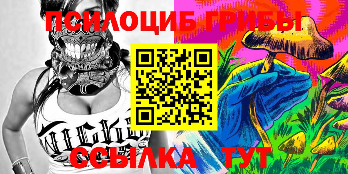 Петрозаводск  Псилоцибиновые грибы Psilocybine cubensis  Вход с VPN 